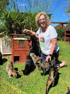 Susan with some of her foster cats